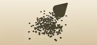 Confetti