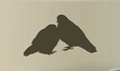 Pigeons silhouette