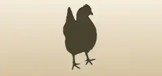 Hen