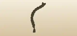 Braided Hair