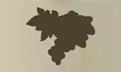 ブドウ