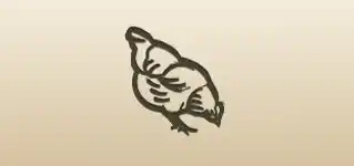 Hen