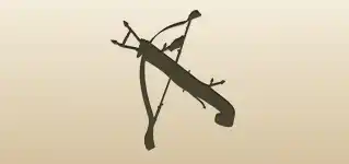 Crossbow