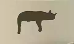 ネコ