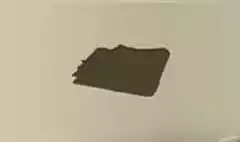 新聞