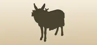 Donkey