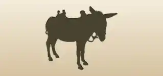 Donkey