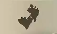 ブドウ