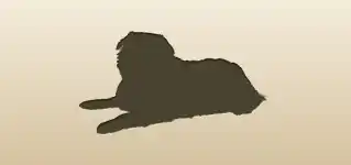 イヌ