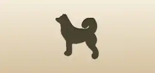 イヌ