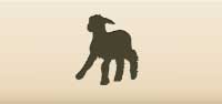 Lamb silhouette