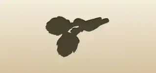 アーティチョーク