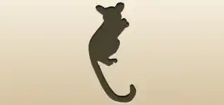 Galago silhouette