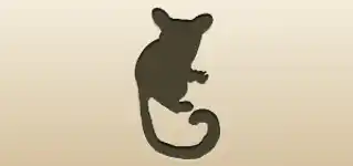 Galago silhouette