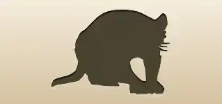 Tasmanian Devil silhouette