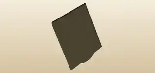 Record silhouette