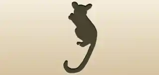Galago silhouette