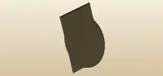 Record silhouette