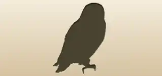 Owl silhouette