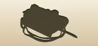 Camera silhouette