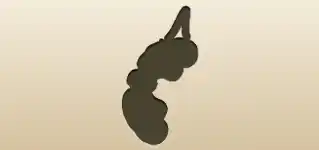 Binoculars