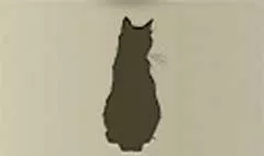 ネコ