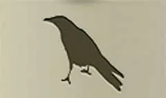 カラス