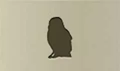 フクロウ