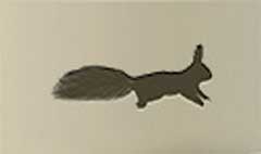Squirrel silhouette