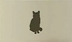 ネコ