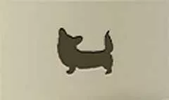 イヌ