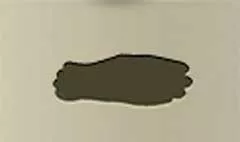 手袋