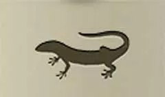 トカゲ
