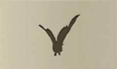 Owl silhouette #4