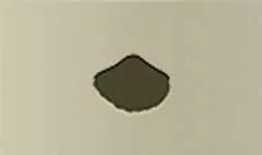 貝殻