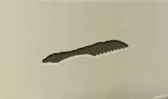 くし