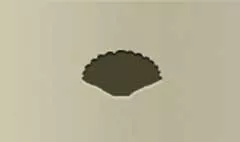 貝殻