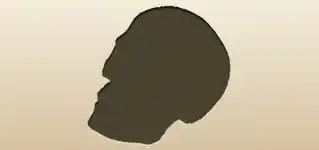 頭がい骨のシルエット