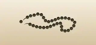ネックレスのシルエット