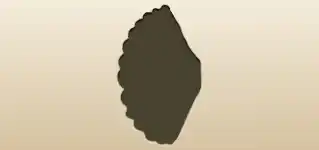 貝殻のシルエット