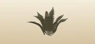 Fern