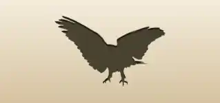 Hawk
