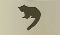 レッサーパンダ