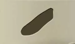 靴