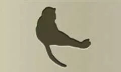サル