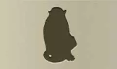 サル