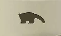 レッサーパンダ