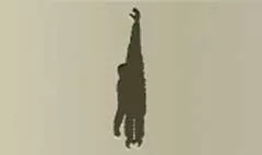 サル