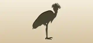 Crane