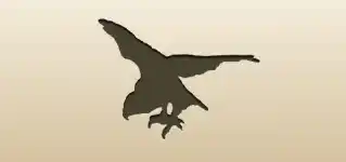 Hawk